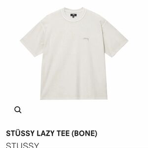 STUSSY plain white tee NWOT